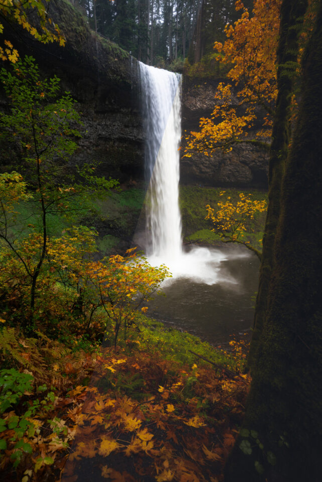 ON1 All Seasons Landscape Presets for Lightroom