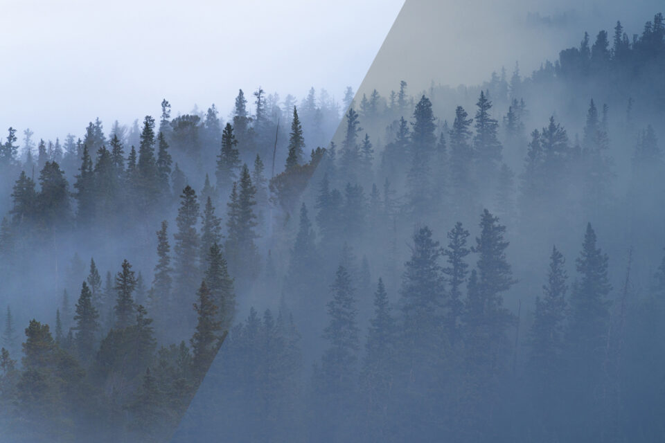 Nicolesy’s Lightroom Landscape Presets