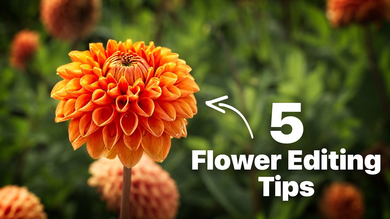 5 Quick Flower Editing Tips in ON1 Photo RAW