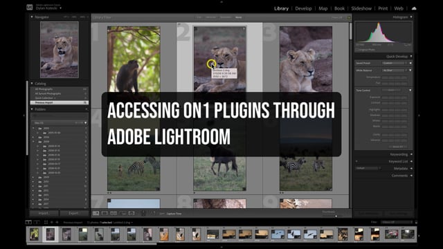 Getting Started in Portrait AI 2022