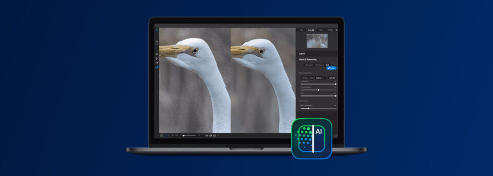 ON1 NoNoise AI interface on a laptop showing before and after AI denoise results on a bird photo