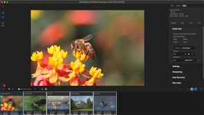 Getting Started in Resize AI 2026