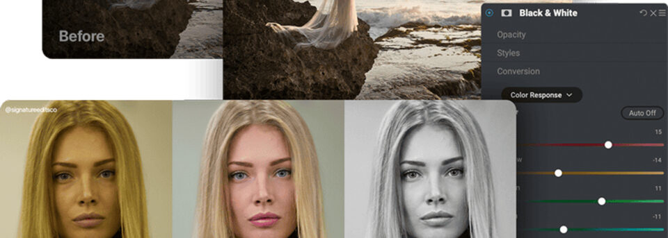 Best AI photo editing software showing black and white conversion and color response tools