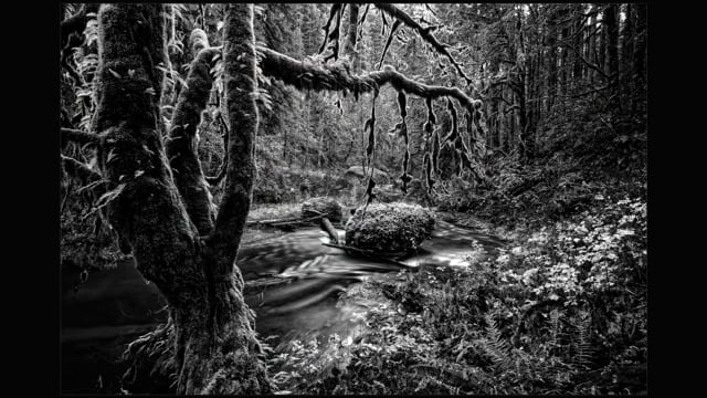Black and White Photography Course