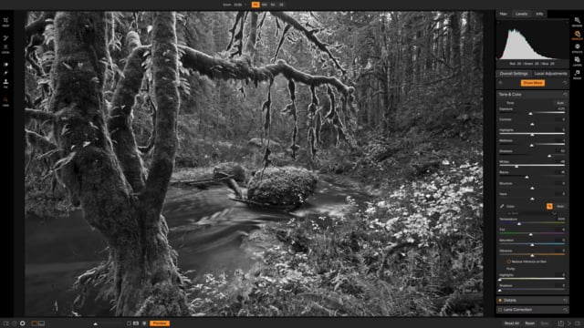 Black and White Photography Course