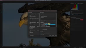 Getting Started in NoNoise AI 2023