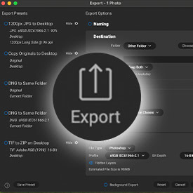 Flexible Export Options