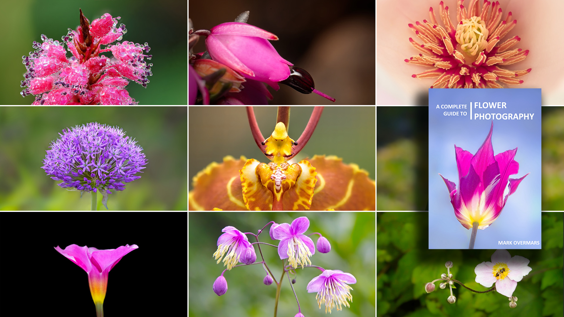 Collage of macro flower photos and cover of A Complete Guide to Flower Photography by Mark Overmars