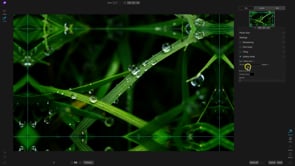 Getting Started in Resize AI