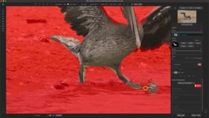 Getting Started in NoNoise AI 2023