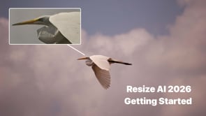 Getting Started in Resize AI 2026