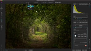 Learning Masking and Local Adjustments