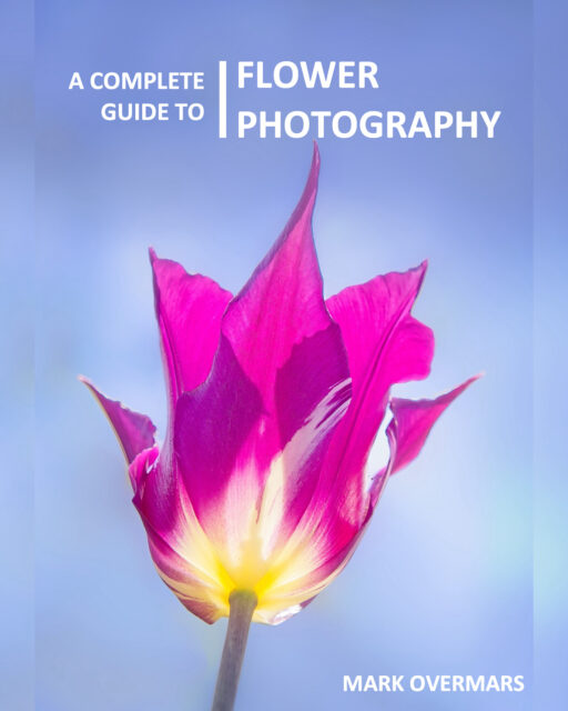 A Complete Guide to Flower Photography