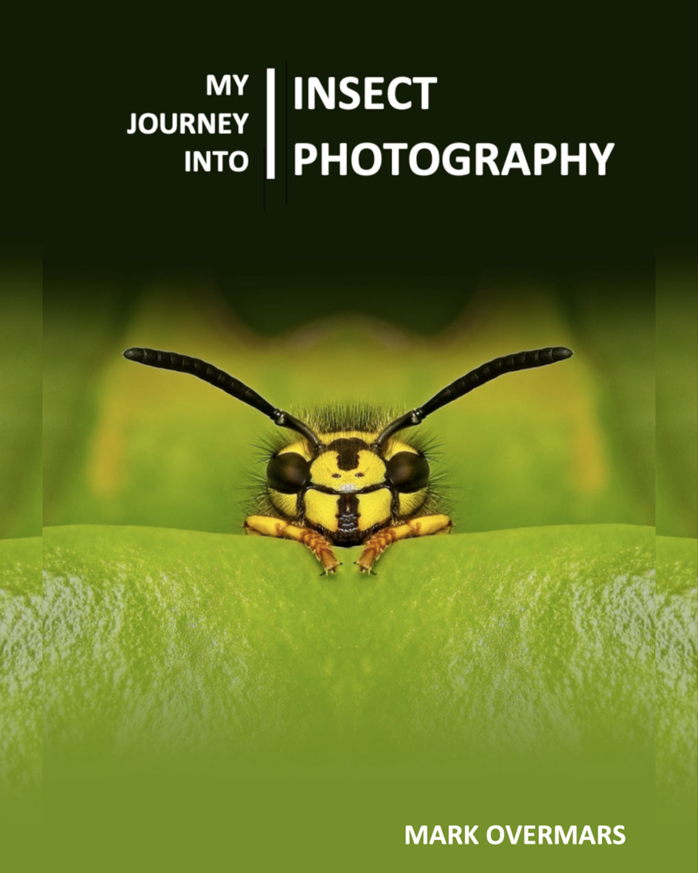 Book cover for "My Journey into Insect Photography" by Mark Overmars, featuring a close-up macro photo of a yellow and black wasp peering over the edge of a bright green leaf