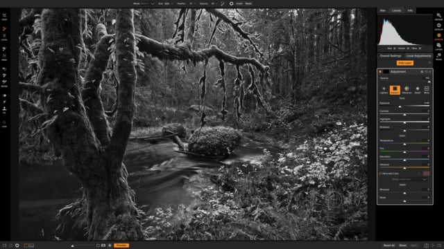 Black and White Photography Course