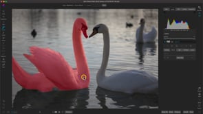 Learning Masking and Local Adjustments