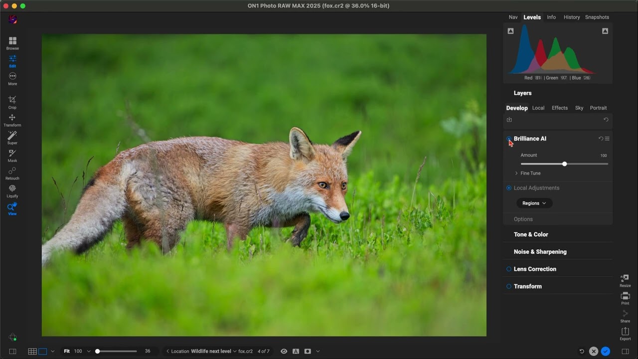 Master Wildlife Photo Editing in Minutes