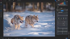 Mastering ON1 Photo RAW to Start the New Year