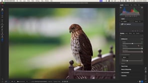 Must-Know Features for Stunning Edits in ON1 Photo RAW