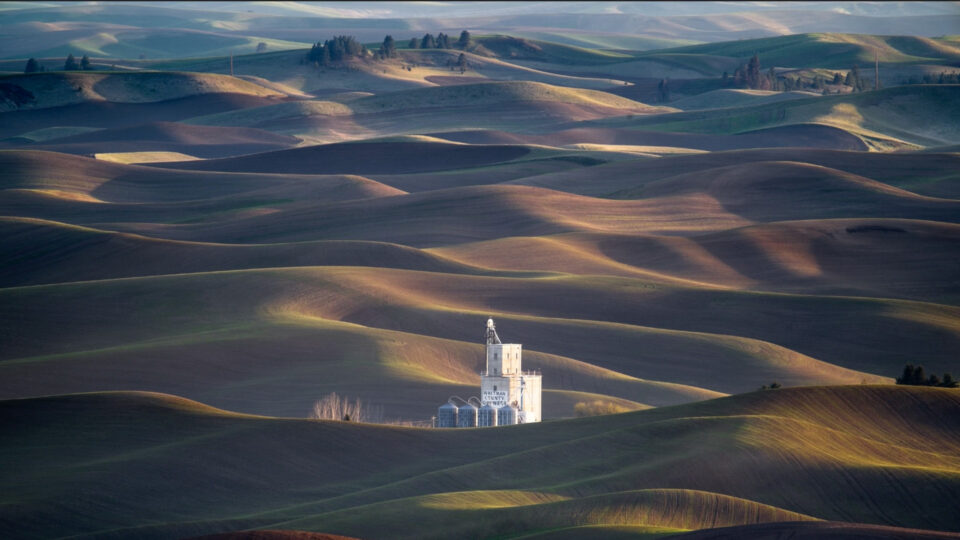 Low contrast image enhanced in ON1 Photo RAW to improve depth, clarity, and tonal range