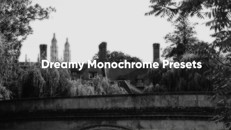 Dreamy Monochrome Presets for ON1 Photo RAW applied to a black and white architectural scene with gothic towers, trees, and stone bridge showing cinematic monochrome tones available in the ON1 Plus Creative Library