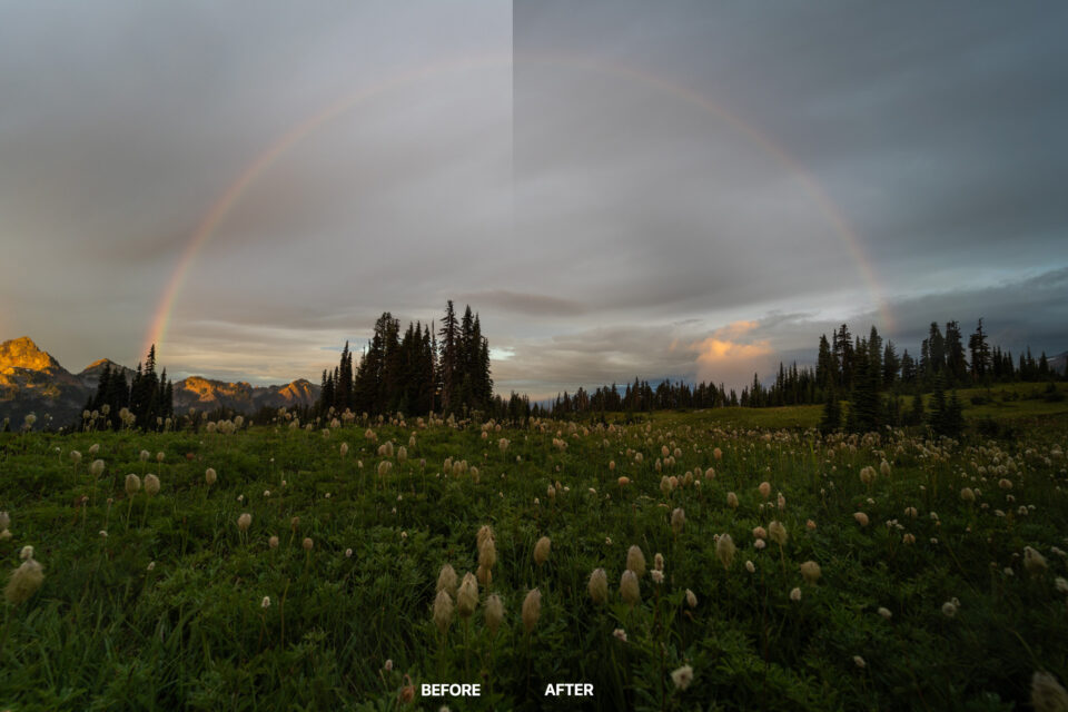 ON1 Signature Collection Presets, Vol. 1
