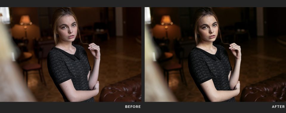portrait lut banner