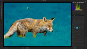 Quick Start Course for ON1 Photo RAW 2023