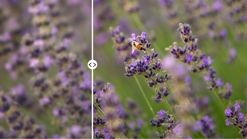 How to Reduce Noise in Lightroom