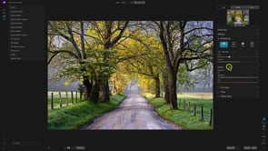 Getting Started in Resize AI