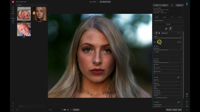 Getting Started in Portrait AI 2022
