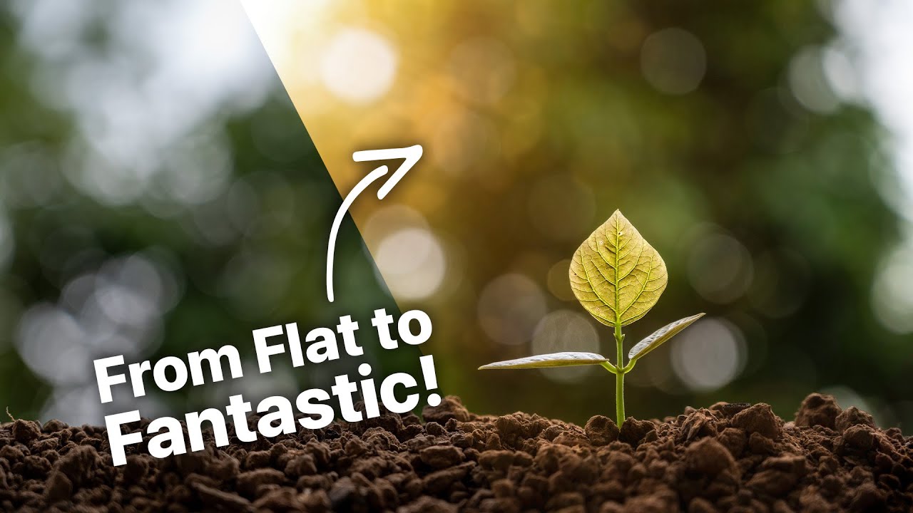This Photoshop + ON1 Workflow Will Transform Your Edits FAST