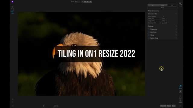 Getting Started in Resize 2022