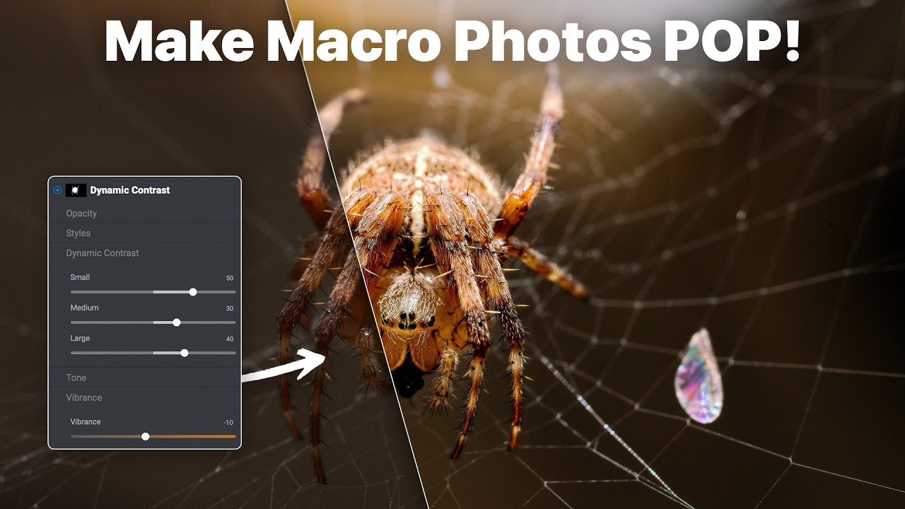 Transform a Macro Photo with AI Masking & Depth Lighting