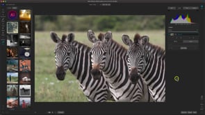 Getting Started in Effects 2023