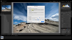 Getting Started in Resize AI