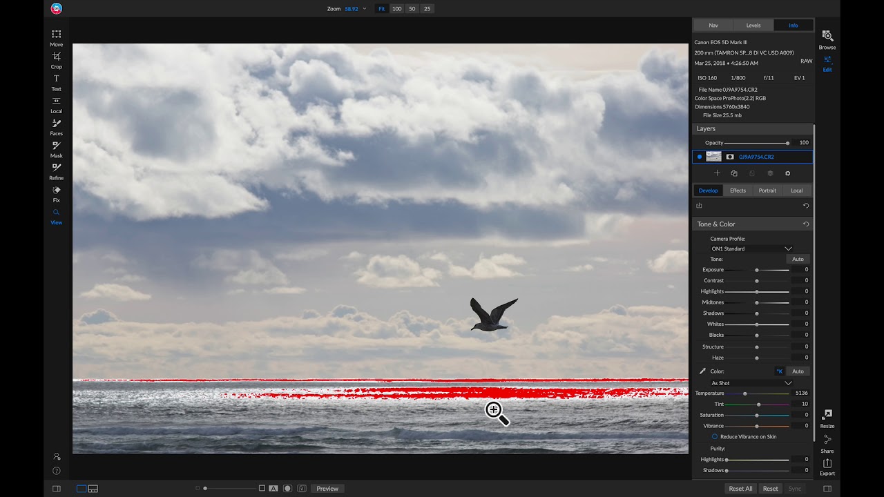 Getting Set Up with ON1 Photo RAW 2019