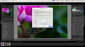 ON1 Effects 2025 Quick Start Course