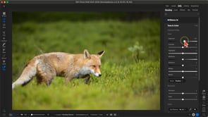 Using the Edit Module