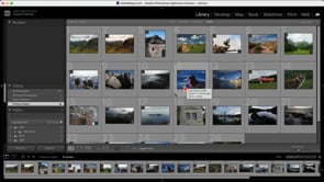 Getting Started in Photo RAW 2026