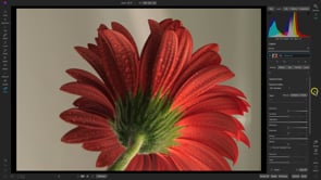 Quick Start Course for ON1 Photo RAW 2023