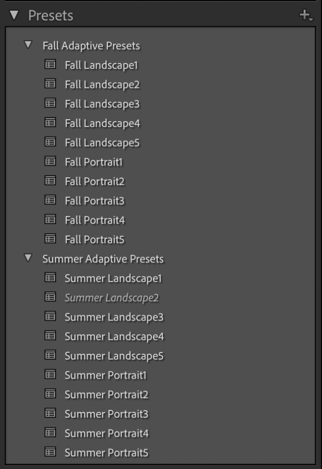 View Presets in Photo RAW